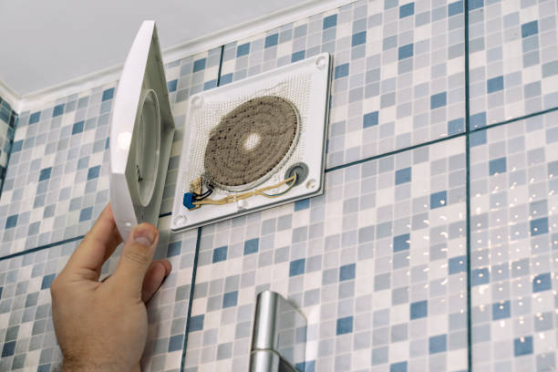 Best Dryer Vent Cleaning Services  in Festus, MO