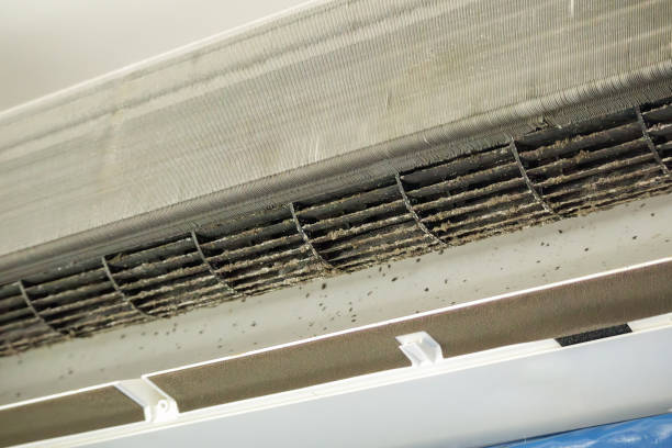 Best Emergency Air Duct Cleaning  in Festus, MO